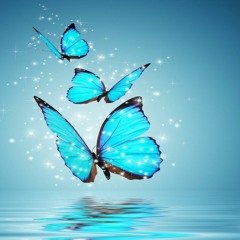 In The End  2016 (Feat. John Zwaan)