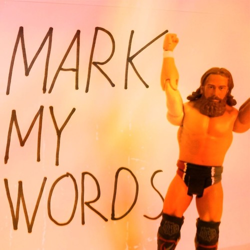 MARK MY WORDS #7 - Der Wrestling-Podcast (Survivor Series, NXT TakeOver, WWE Story Time)