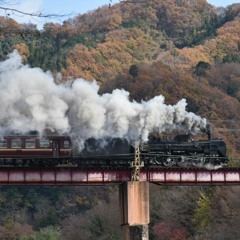 秩父鉄道SLパレオエクスプレス・上長瀞の鉄橋シーン
