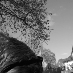 Afterall demo (Original)