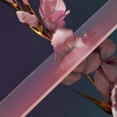 Flume - Never Be Like You (MiXiNiT X CHASRS Remix) [Spirit Wave x Lazy Sundae]