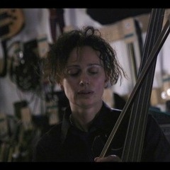 Bass Bird / Bass Holograms extract