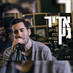 אדיר גץ - בדיוק כמו שהיא