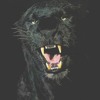 Fabian Olander Gatspo Original Mix Mp3