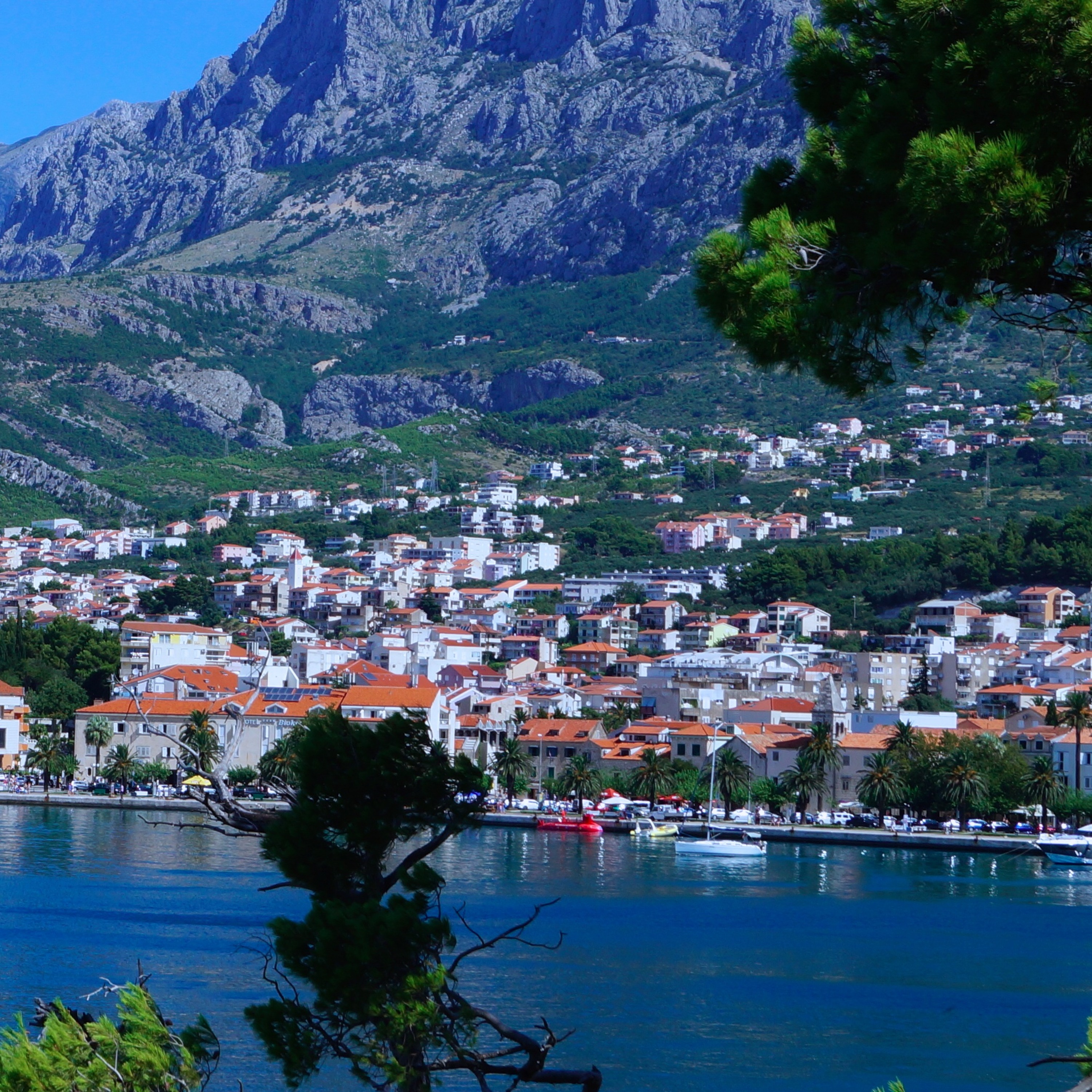 6. Hur håller man ett cermonital?