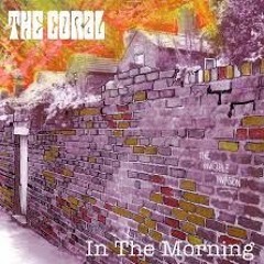 In The Morning - The Coral (full cover)