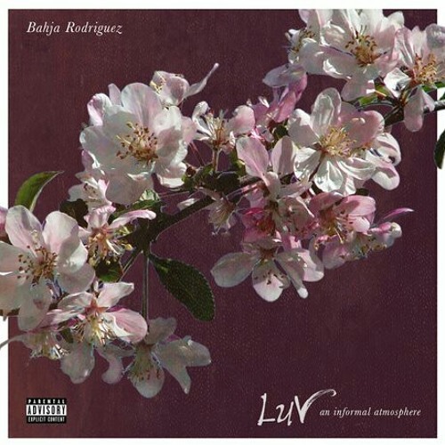 Bahja Rodriguez Say it ft Kodie Shane