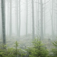 Come In Alone (My bloody valentine)