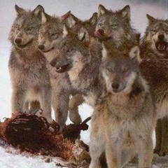 Cours Ou Crève Ft K-rl