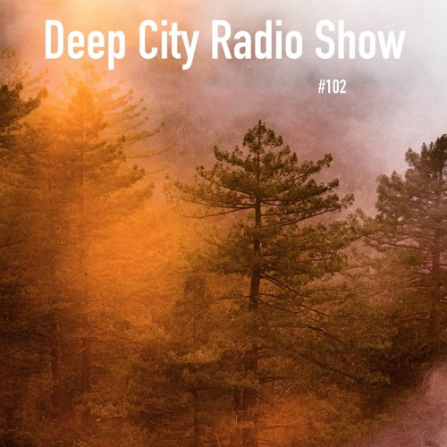 Deep City Radio Show #102 - Part 1 - Andizzzii