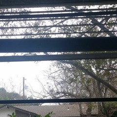 34 days left this yr