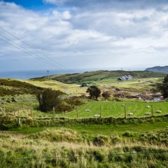 Fields Of Athenry