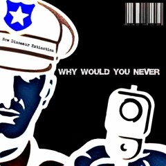 why would you never(instrumental mix)-New Dinosaur Extinction