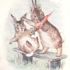 Two Rabbits in a Maze