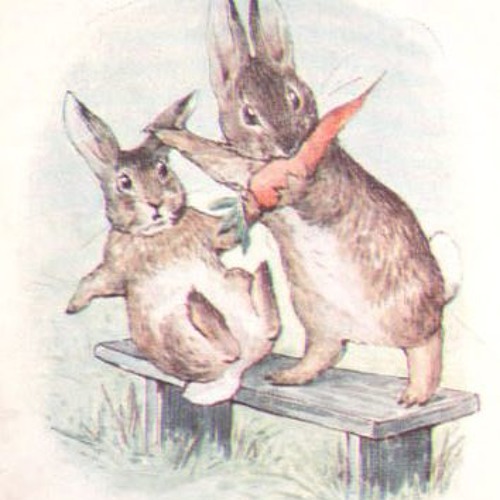 Two Rabbits in a Maze