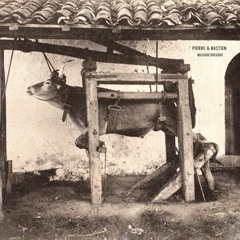 Pierre & Bastien - Bon à rien