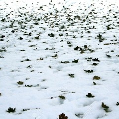 Dear Refeoh, Episode 44- Sudden Winter