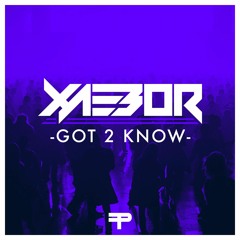 Flux Pavilion - Got 2 Know (XaeboR Remake)
