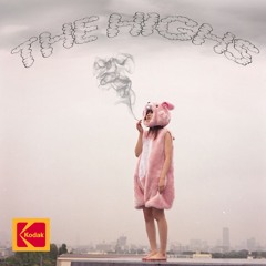 The Highs (ft. Lc Levi) [Prod.Rxlvnd X CaptainCrunch]