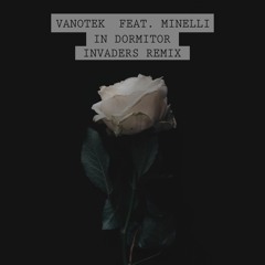 Vanotek Feat. Minelli - In Dormitor | INVADERS Remix
