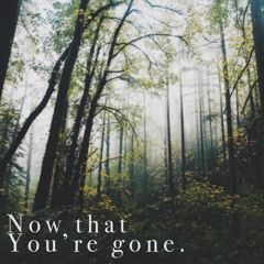 Now That You're Gone