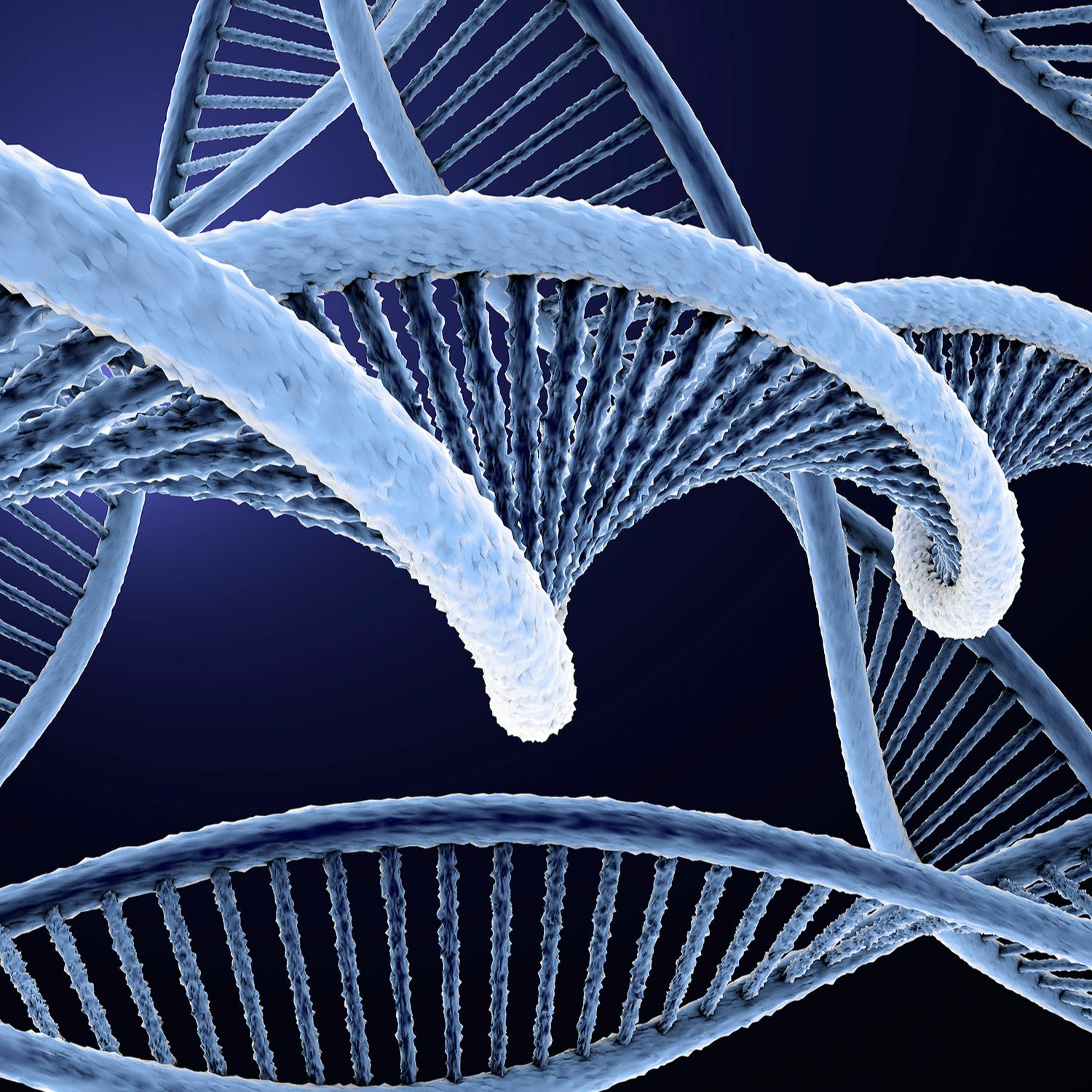Calcium Regulation and Advances in Treatment episode artwork