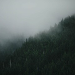 Major To Minor "Every Breath You Take" By Chase Holfelder