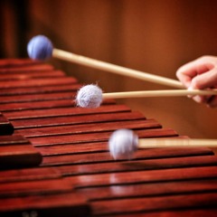 VERVE for Solo Marimba