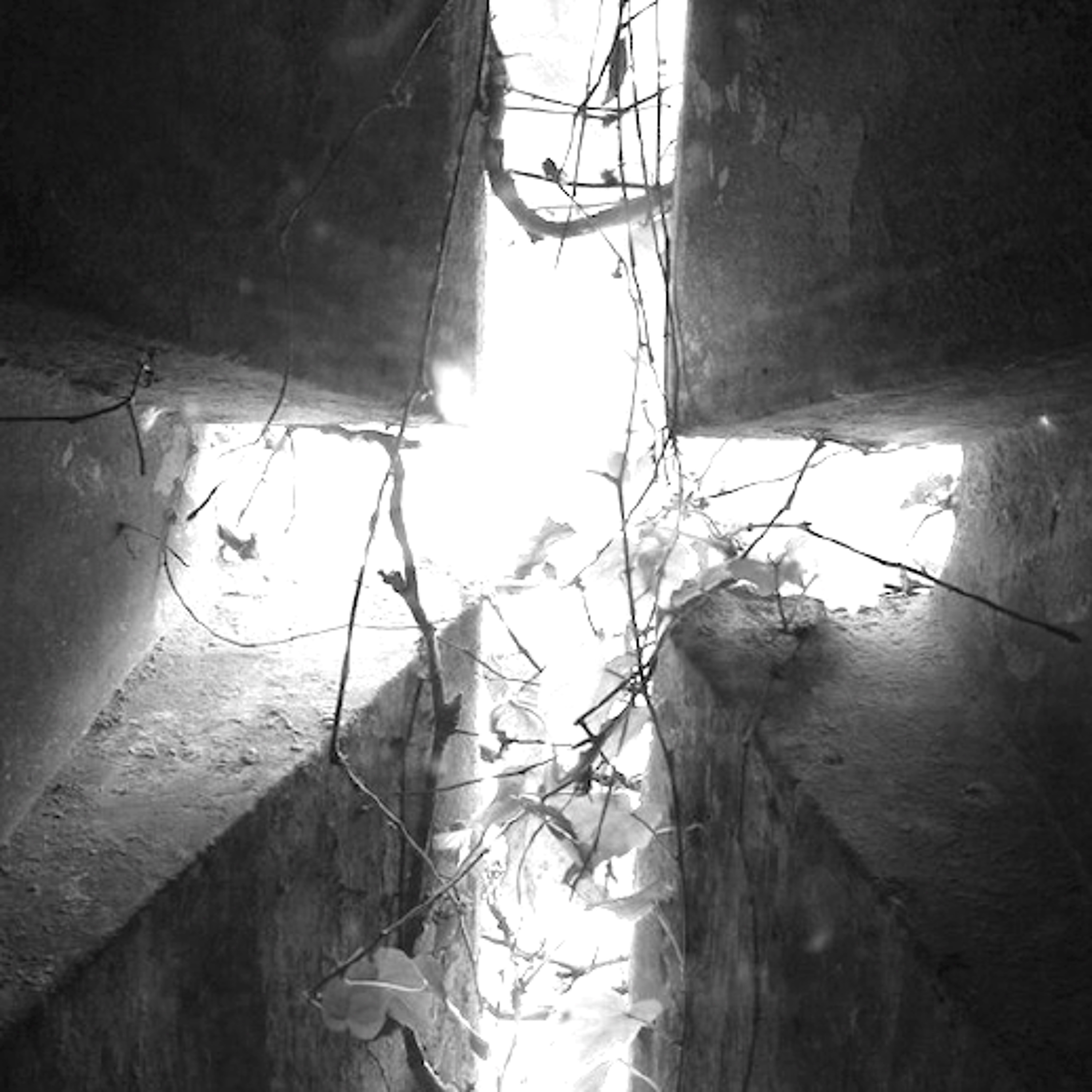 [Peter Carolane] Living in Jesus' Perfect Forgiveness (Hebrews 10:1-18)30.10.16 episode artwork