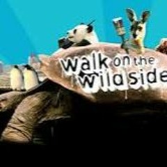 Can I Kick it - A Trribe Called Quest -Lou Reed Walk on the Wild Side Remix/Mashup