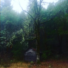 Let Go Or Be Dragged