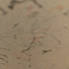 černošedá - yaakub beat