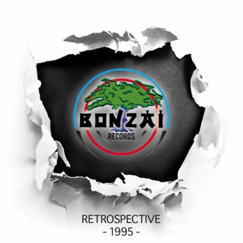 Dizze - Insider