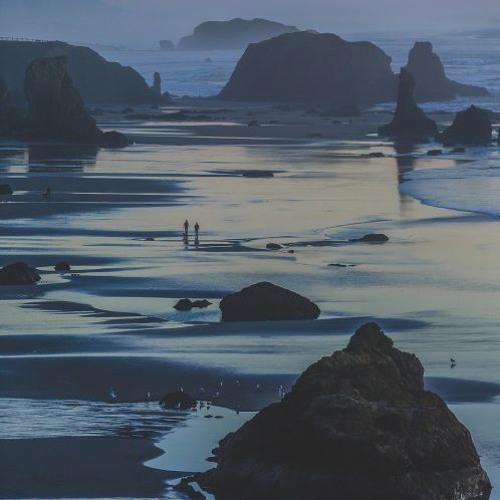 Have You Seen The Oregon Coast?