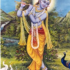 Chaluman Sri Vrindavan Dham Sushree Braj Shankari Devi
