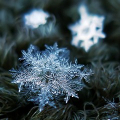Icefloes - Snowflake Mix