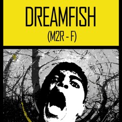 DREAMFISH > Live @ Sources And Roots 1.0