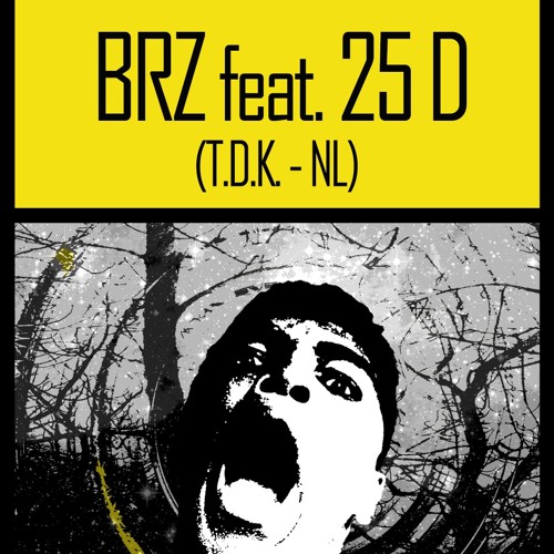 BRZ Feat 25D > Live @ Sources And Roots 1.0