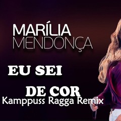 MARILIA MENDONÇA - EU SEI DE COR ( KAMPPUSS RAGGA REMIX )