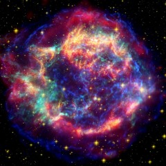 The Almighty Fetus in its Groove Apartment