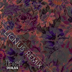 Ookay - Thief [LIGNUS Remix]