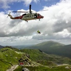 Snowdon Ranger