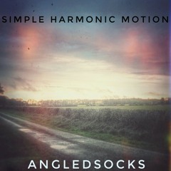 Simple Harmonic Motion