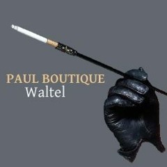 Paul Boutique - Waltel