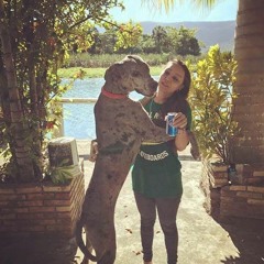 sunday mornin´ (cover) LIVE!!!!!! ft. Beto Cantu