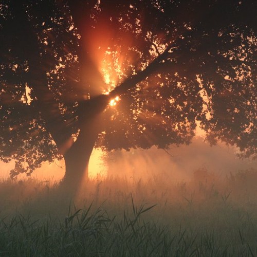 LauterBach - Autumn Groove