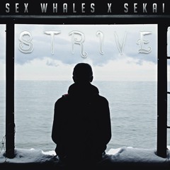 Sex Whales & Sekai - Strive