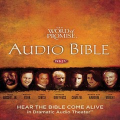 WORD OF PROMISE AUDIO BIBLE - Revelation