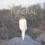 Artwork for Funeral