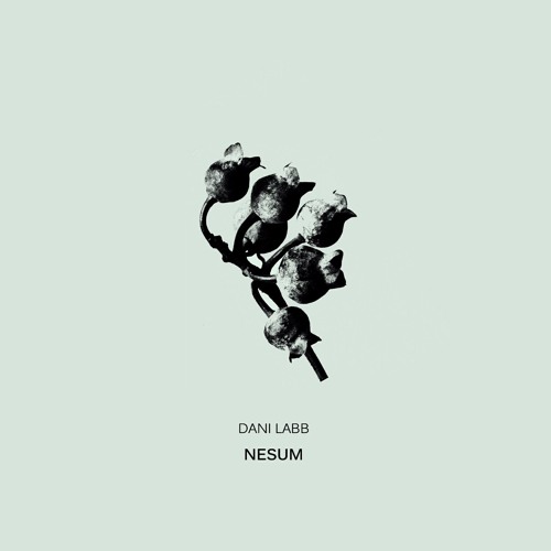 Dani Labb - Nesum